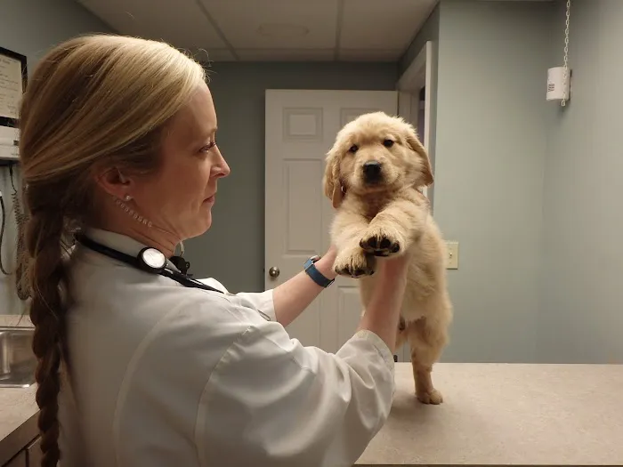 VCA Murphy Road Animal Hospital 12