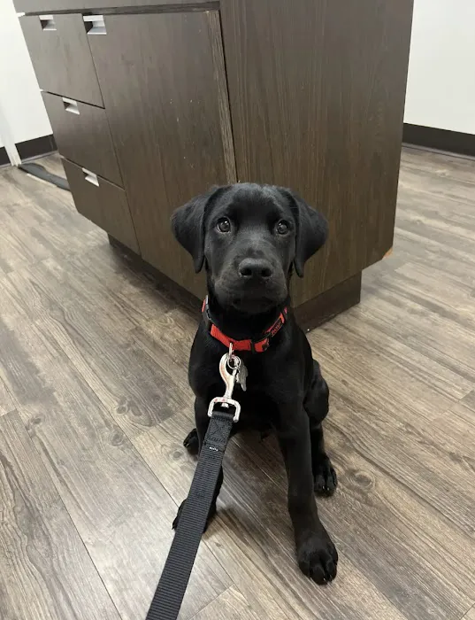 VCA Murphy Road Animal Hospital 12