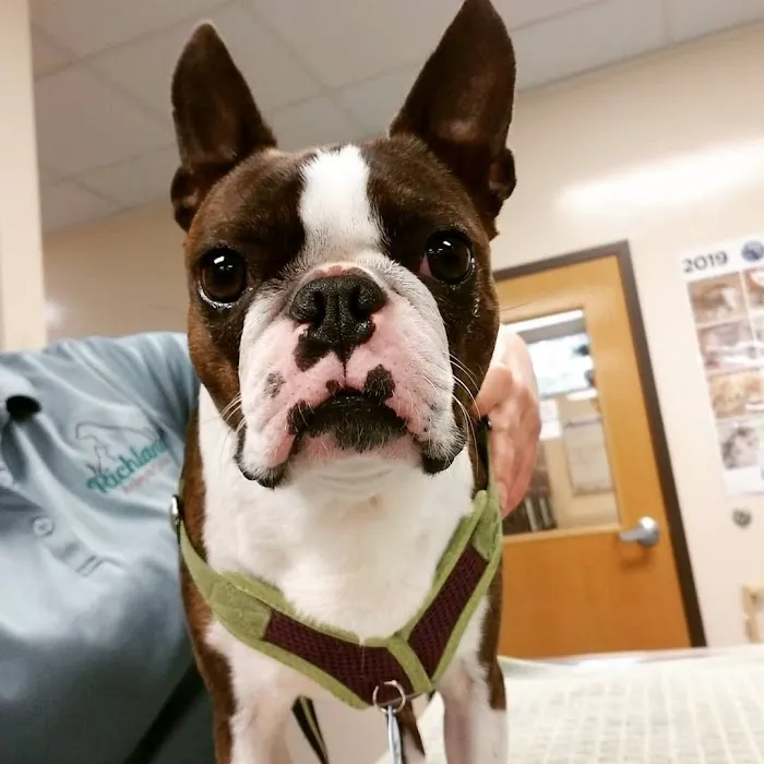 Richland Animal Clinic 12