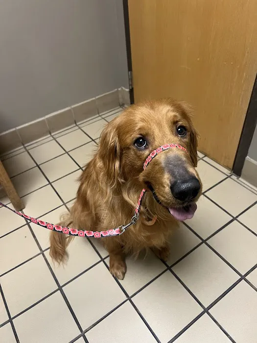 Richland Animal Clinic 12