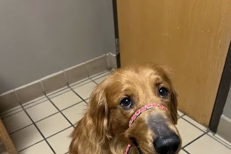 Richland Animal Clinic