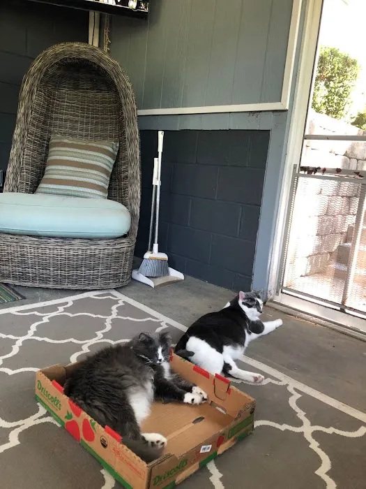 Hillsboro Animal Hospital 7
