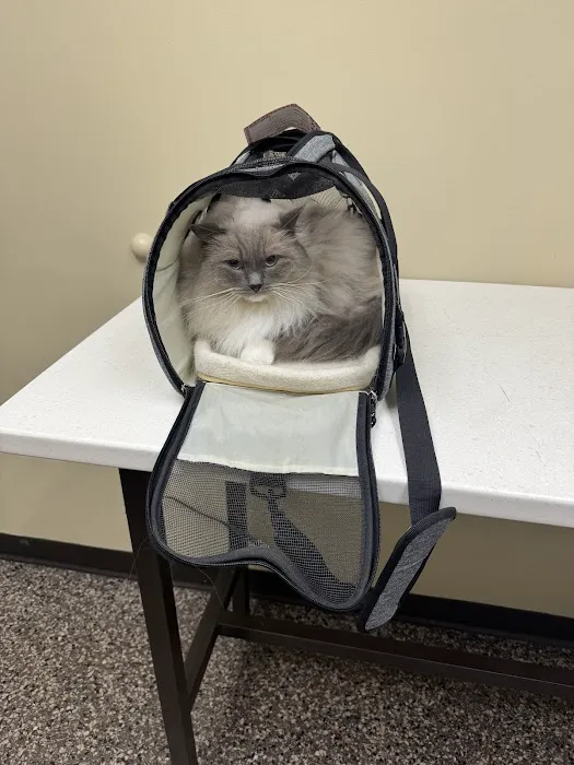 Hillsboro Animal Hospital 3