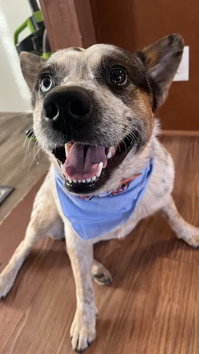 Somerset Animal Clinic 12