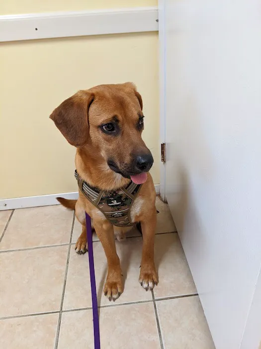 Somerset Animal Clinic 12