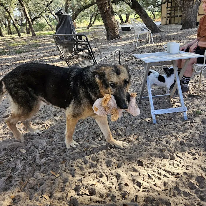 Somerset Animal Clinic 12