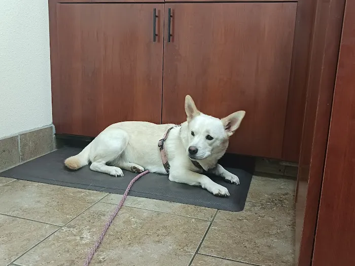 Somerset Animal Clinic 12