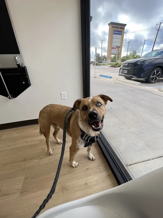 NDS Animal Hospital 12