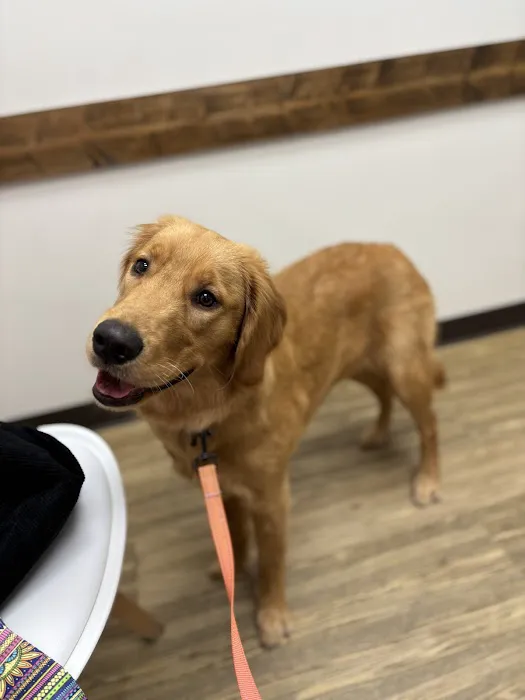 NDS Animal Hospital 12