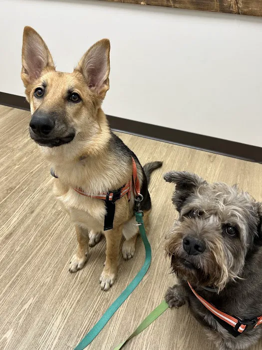 NDS Animal Hospital 12