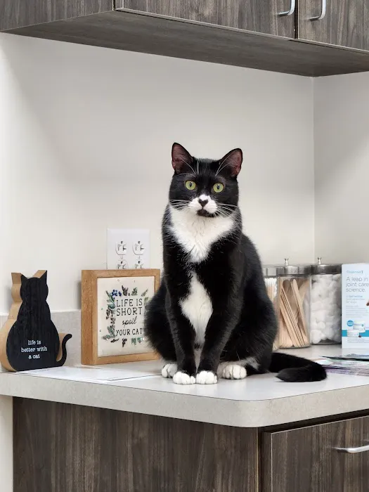 NDS Animal Hospital 12