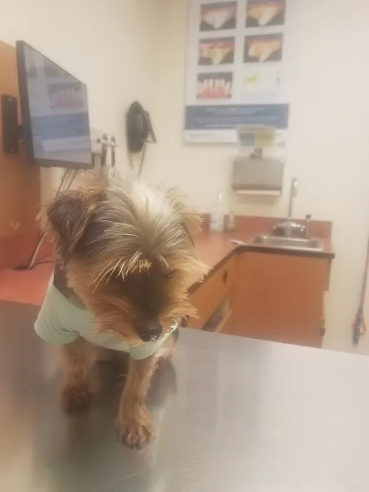 Banfield Pet Hospital 12