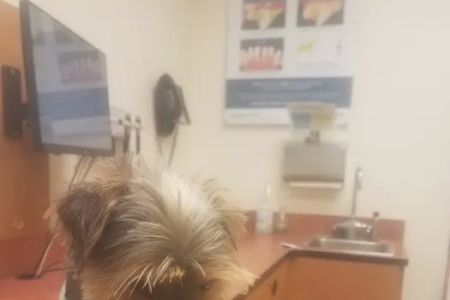 Banfield Pet Hospital
