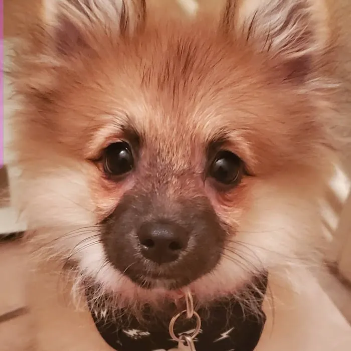 Banfield Pet Hospital 12