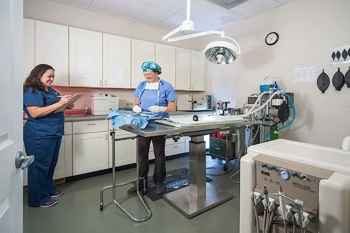 Culebra Creek Veterinary Hospital & Resort 12