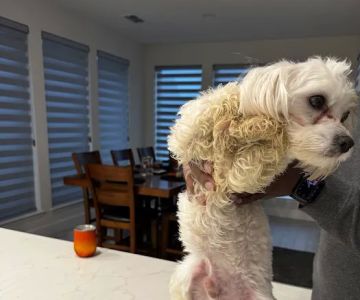 Culebra Creek Veterinary Hospital & Resort