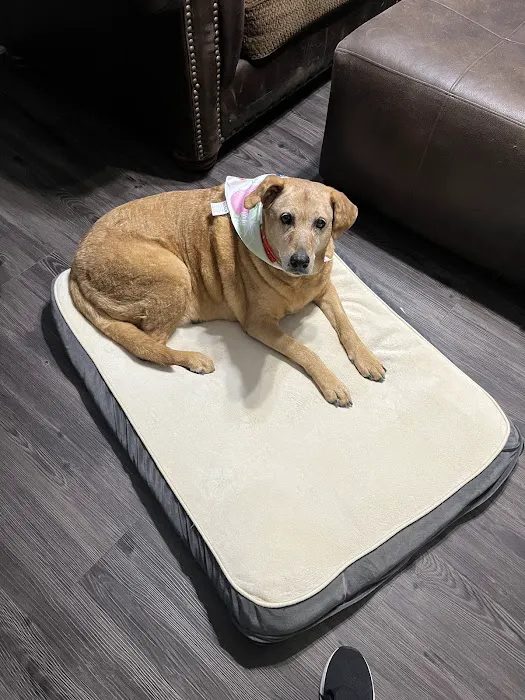 Thrive Pet Healthcare - Alamo Ranch 12