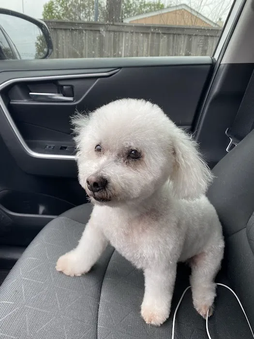 Thrive Pet Healthcare - Alamo Ranch 12