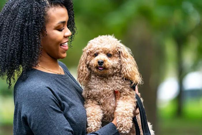 Thrive Pet Healthcare - Alamo Ranch 12
