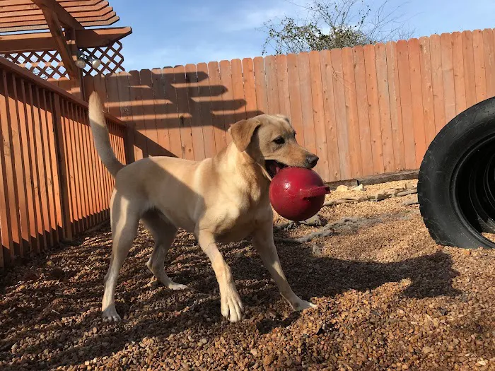 Family Pet Hospital of Stone Oak 4