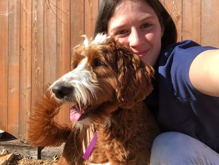Family Pet Hospital of Stone Oak 5