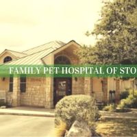 Family Pet Hospital of Stone Oak ico
