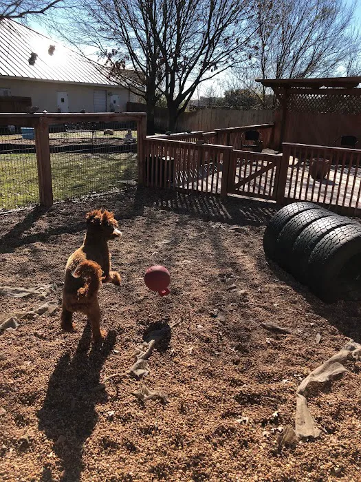 Family Pet Hospital of Stone Oak 9
