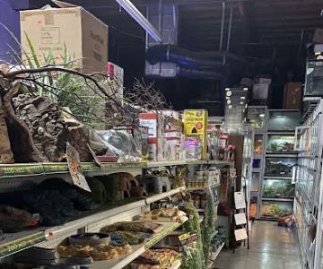 Reef and Reptile Company