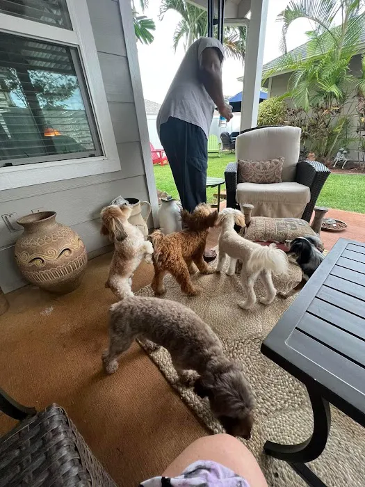The Ark Pet Hospital 12