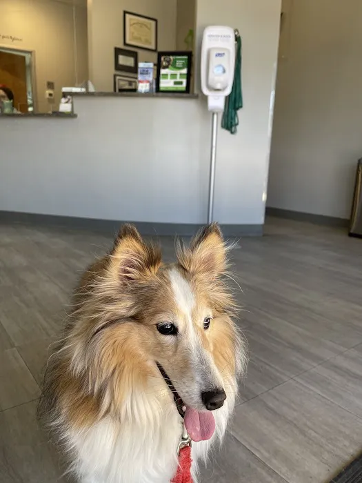 Lili Veterinary Hospital 12