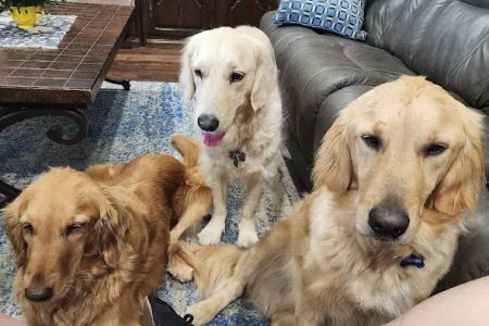 Banfield Pet Hospital