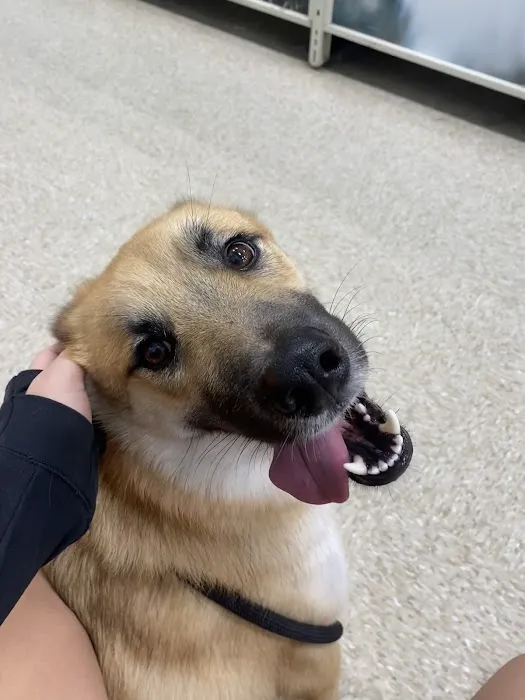 Banfield Pet Hospital 2