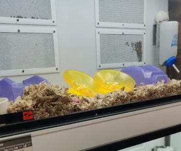 Petco