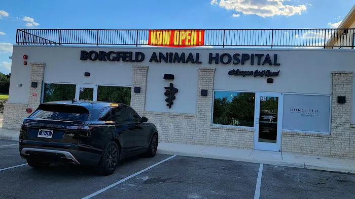 Borgfeld Animal Hospital at Canyon Golf 12