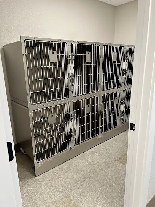 Borgfeld Animal Hospital at Canyon Golf 12