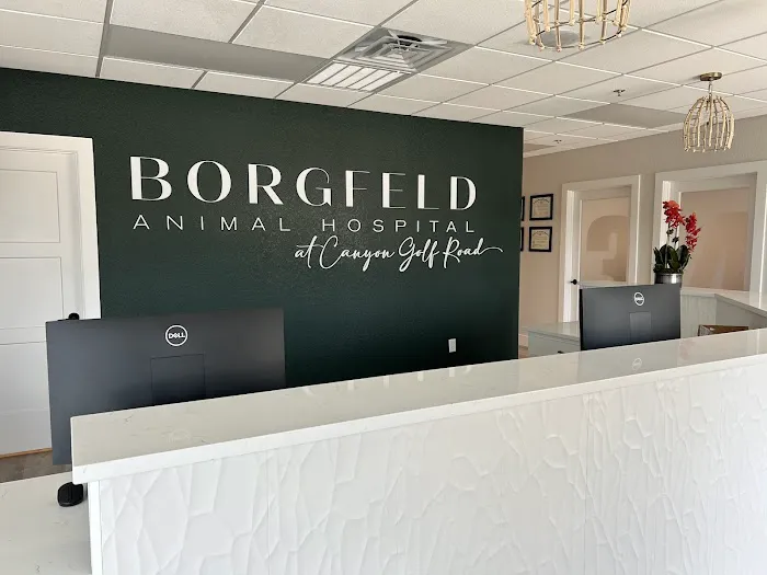 Borgfeld Animal Hospital at Canyon Golf 12