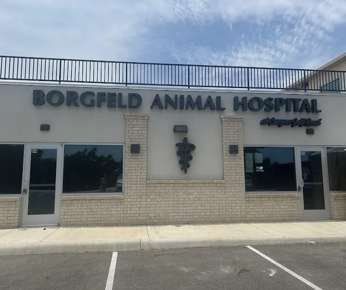 Borgfeld Animal Hospital at Canyon Golf 12