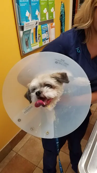 Banfield Pet Hospital 12