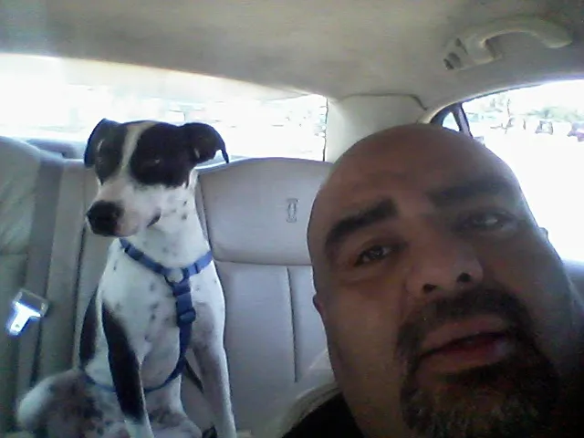 Banfield Pet Hospital 12