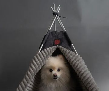 Petnah Luxury Pet Products