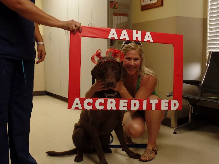 Hill Country Animal Hospital 12