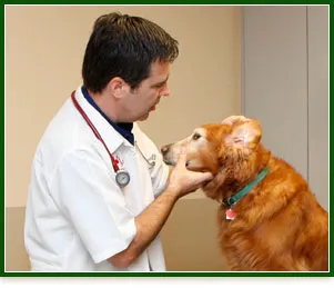 Hill Country Animal Hospital 12
