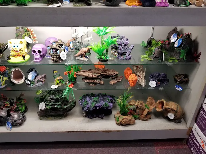 Trop Aquarium 7