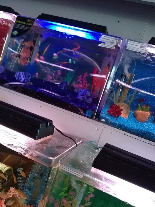 Trop Aquarium 9