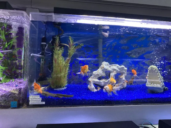 Trop Aquarium 4