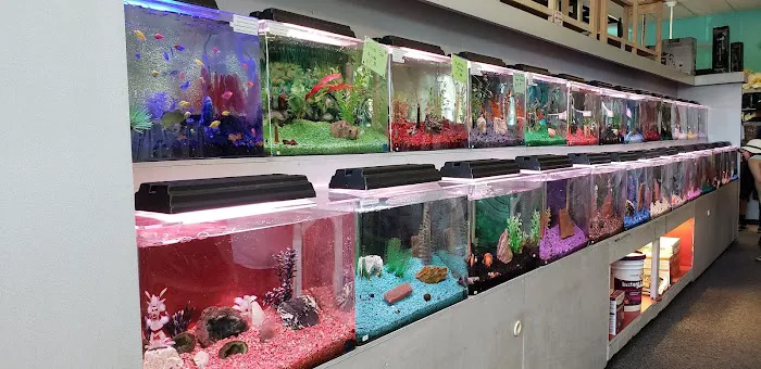 Trop Aquarium 5