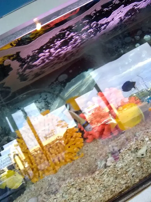 Trop Aquarium 8