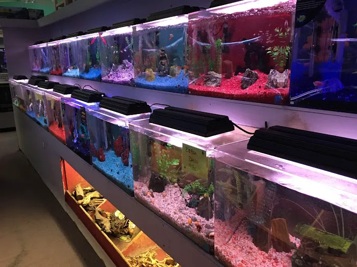 Trop Aquarium 3