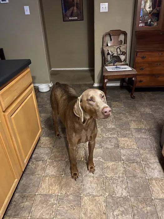 Spring Creek Animal Hospital 12