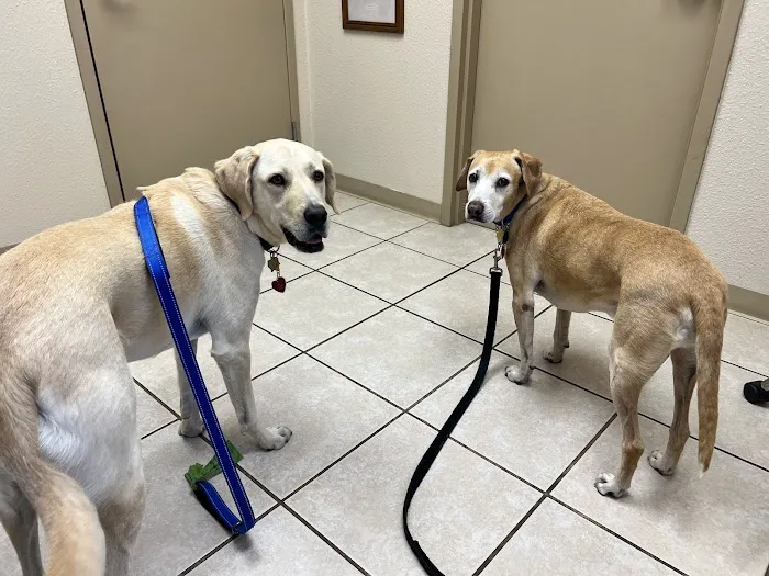 Spring Creek Animal Hospital 12